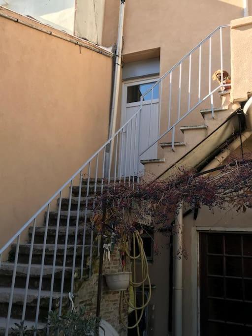 Fabienne Cote Jardins De La Fontaine Daire Nîmes Dış mekan fotoğraf